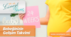 bebeğinizin gelişim takvimi